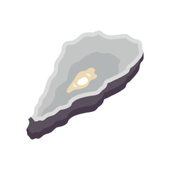 Oyster colored vector illustration. Can be used for any platform action promotion and advertising mockup. Isolated symbol sign used for: mobile, app, web, dev, ui, ux, gui. EPS 10. For your design