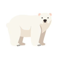 polar bear in flat style. isolated on white