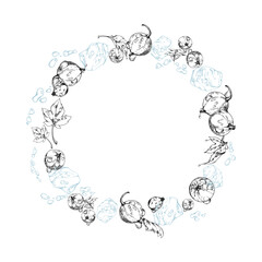 Currant gooseberry flying in water splash with green leaves, ice cubes, dew drops, ripe garden berry juneberry casseille jostaberry hand drawn in vector ink. Isolated wreath frame. Fresh grocery store