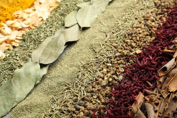 Many different spices as background, closeup view
