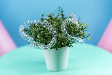 Removable transparent aligners for dental correction hang on the plant. Invisalign braces, dental care and orthodontics