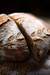Close up of rustic sourdough bread cutting in half with crisp skin on rustic wooden table with wheat grains. Hand-scored hearth loaf captured in natural ambient light