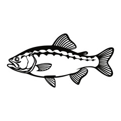 Fish line art vector illustration .Minimalist style vector illustration on white background