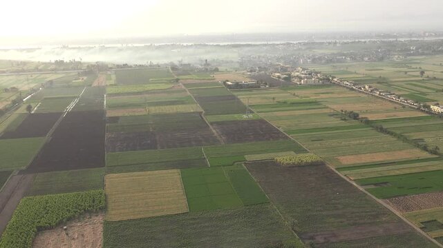 Hot Air Balloons Over Luxor&rsquo;s Green Fields: A Contrast of Colors