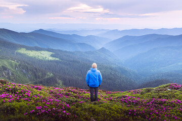 Naklejka premium Traveler admiring a breathtaking view from a rhododendron-covered mountain peak at sunset. Vibrant purple sky and distant mountain ranges
