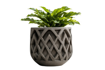 Naklejka premium Geometric Patterned Concrete Planter Pot for Indoor and Outdoor Plants