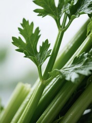 Obraz premium Close-Up of Fresh Celery Stalks with Leaves