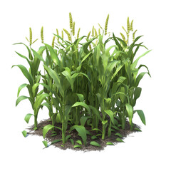 Digitally rendered image depicts a dense cluster of corn plants,  with vivid green leaves and golden-yellow stalks. The scene seems isolated, suggesting a graphic design element.