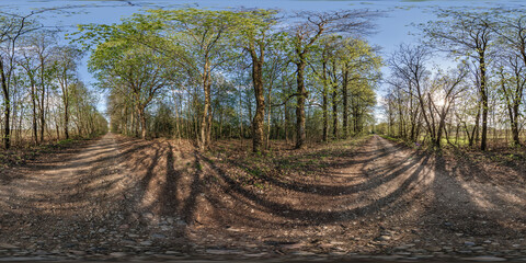 360 hdri panorama on gravel road among old poplar grove with gnarled branches in autumn forest or alley in sunny evening in equirectangular spherical seamless projection. VR AR content