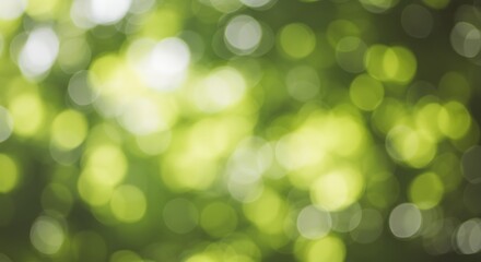 Obraz premium Abstract Green Bokeh Background Nature's Soft Focus