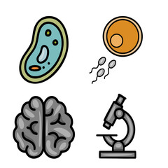 A playful vector illustration featuring a stylized cell, egg, sperm, brain, and microscope, representing scientific concepts in a lighthearted manner.