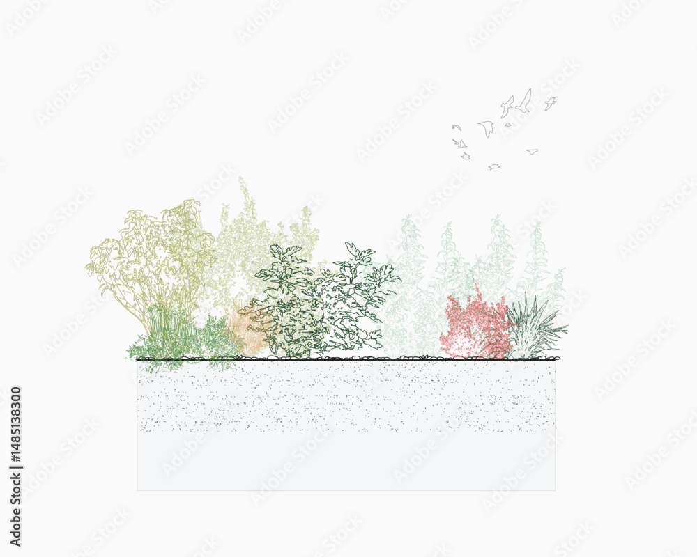Poster architectural drawings, minimal style cad tree line drawing, side view, set of section garden, wetla