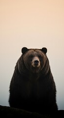 Grizzly Gaze: Dawn's Embrace