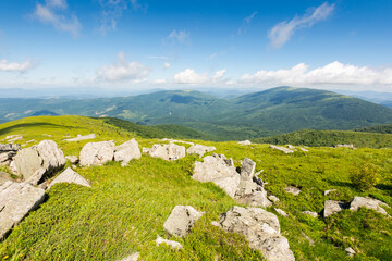 green alpine hills and slopes in summer. landscape with stones and boulders among the grass under a blue sky with clouds. outdoor adventure. scenic vacations in mountains of ukraine on a sunny morning