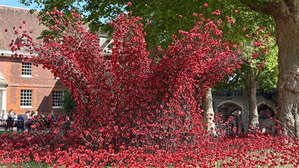 Poppy display in celebration of end of WWII in Europe, also known as VE Day
