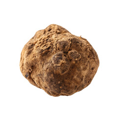 Naklejka premium Desert truffle isolated on a transparent background