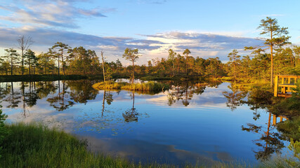 Scenic view of a calm forest lake during golden hour in Estonia, with pine trees reflecting on the still water