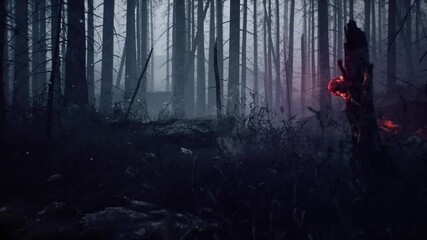 Dark misty forest eerie scene red glow ominous trees spooky ambiance mysterious landscape night time horror atmosphere strange shadows haunted woods mysterious event. 4k Vidios