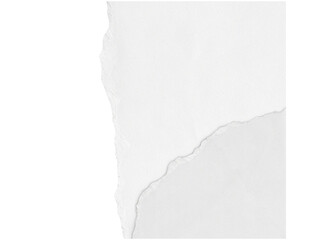 White Torn Paper Edge Texture Isolated Close-up Picture With PNG, Transparency and JPEG Background