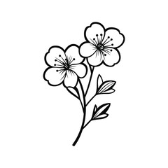 Hand drawn blossom branch shows beauty and simple elegance on a white background