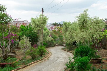 Scenic View of Winding Road through Lush Garden with Colorful Flowers and Distant Townscape.