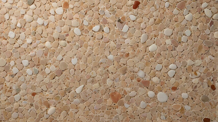 Terrazzo Stone Texture: Polished Aggregate Concrete Surface