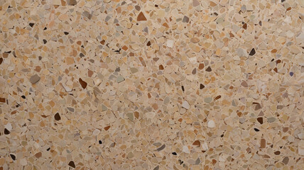 Terrazzo Stone Texture: Polished Aggregate Concrete Surface