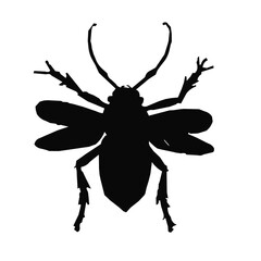 Insect silhouette vector illustration