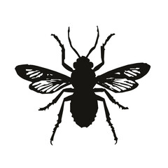 Insect silhouette vector illustration