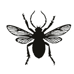 Insect silhouette vector illustration