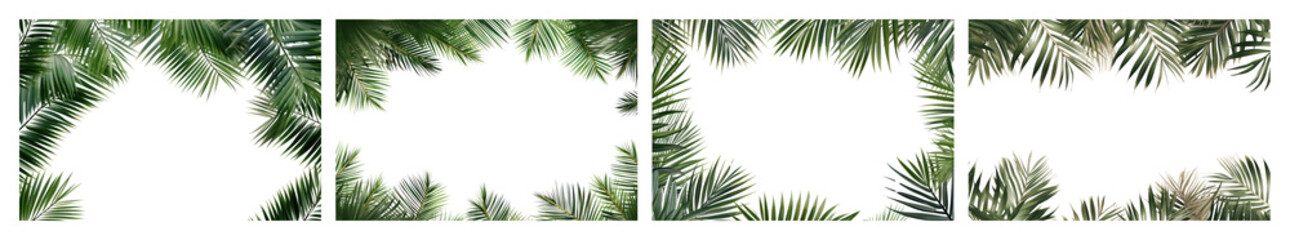 PNG Tropical palm leaf borders, element set on transparent background