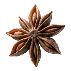 Star anise spice close up view eight points brown texture