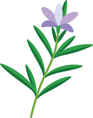 green plant isolated on white background