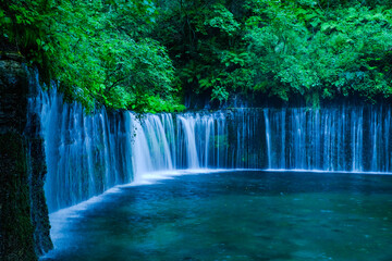 白糸の滝　７月