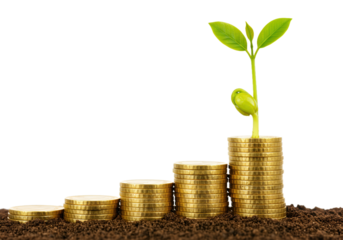 Growing Your Wealth A Visual Representation of Financial Growth and Investment Returns