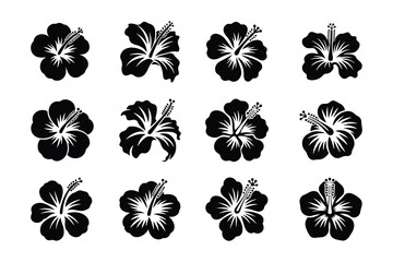 Obraz premium Hibiscus Flower Vector Set