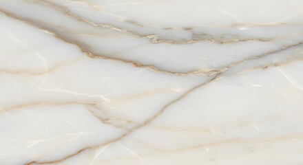 White Onyx Stone Texture with Brown Veins