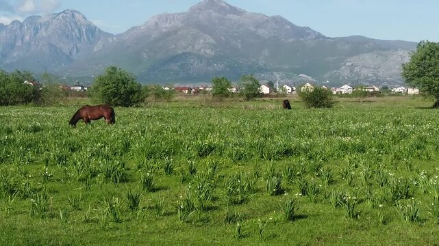 panorama in Shkodra region , Albania