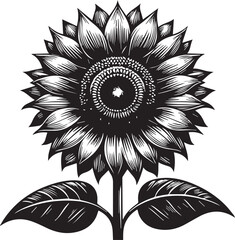 Solara Shine Sunflower Vector – Bright Botanical Artwork with Golden Petals
