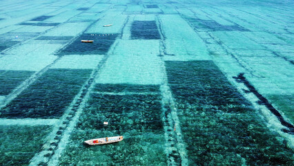 Seaweed Farms and Water Canals in Bali – Aerial Drone Footage of Traditional Aquaculture in Nusa...
