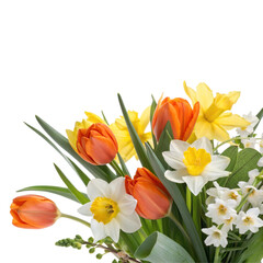 Vibrant Spring Flower Bouquet with Tulips and Daffodils isolated PNG or JPEG Background