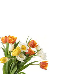 Vibrant Spring Flower Bouquet with Tulips and Daffodils isolated PNG or JPEG Background