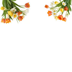 Vibrant Spring Flower Bouquet with Tulips and Daffodils Frame Isolated PNG or JPEG Background