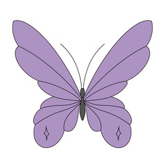 butterfly vector illustration