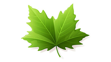 Fototapeta premium Detailed and Vibrant Leaf Icon Isolated Cartoon Vector Illustration for Designs