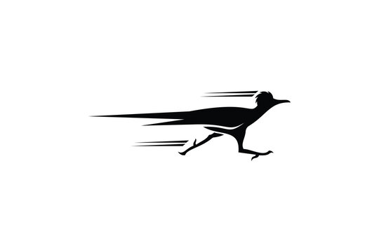 roadrunner logo design vector illustration. roadrunner silhouette logo template