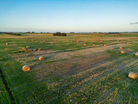 Aerial view of hay bales in a green field under blue sky in Victoria