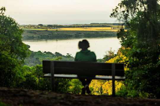 Solitary contemplation on a park bench overlooking a river in Victoria