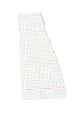 Blank Torn Graph Paper Sheet – Isolated Notebook Page for School, Office, and Educational Design