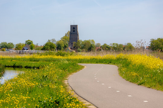 Dutch polder landscape in spring with canal, ditch and green grass, Yellow flower of Rapeseed (Canola) Small village and church tower of Ransdorp, Municipality of Amsterdam, North Holland, Netherlands